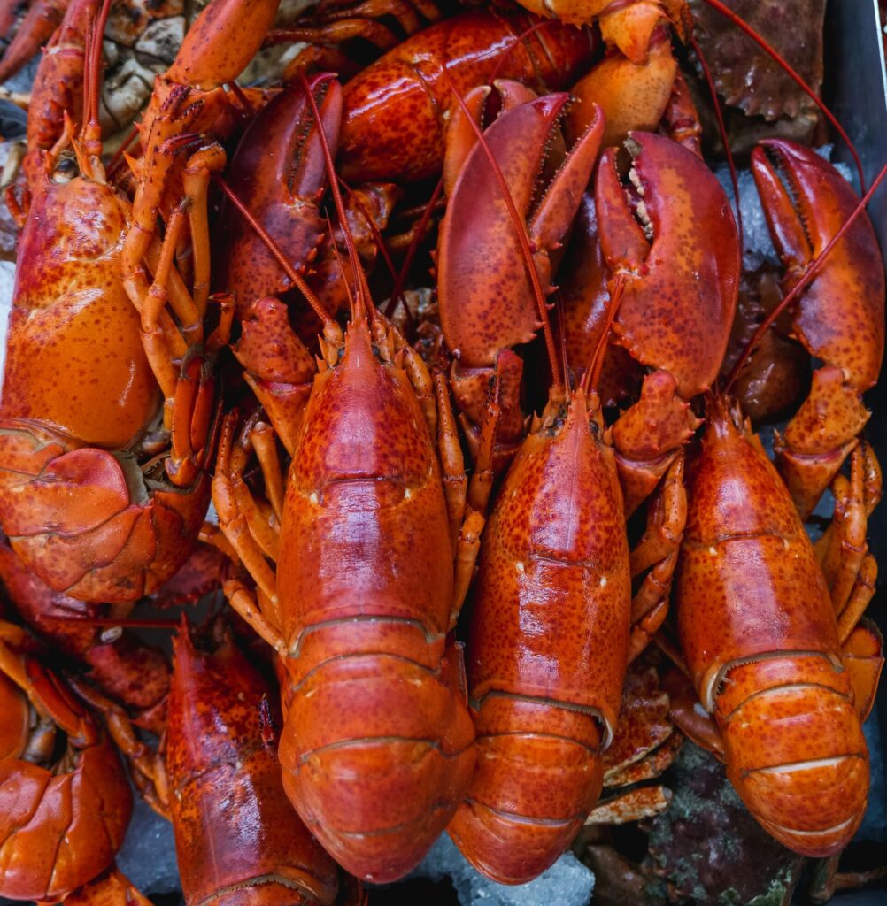 Bright and vivid seafood assortment featuring fresh lobsters and crabs.