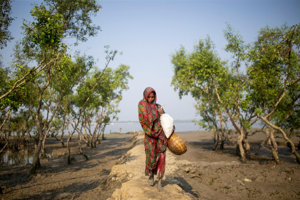 Woman in traditional dress walking in Sundarban, Bangladesh mangrove forest.